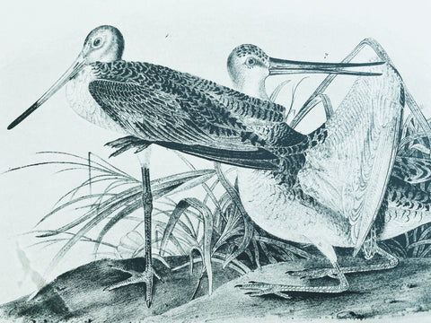 Original - Lord-Hopkins, all collections. Sold exclusively by Princeton, these are the last known prints to come from Bowen's Philadelphia studio.