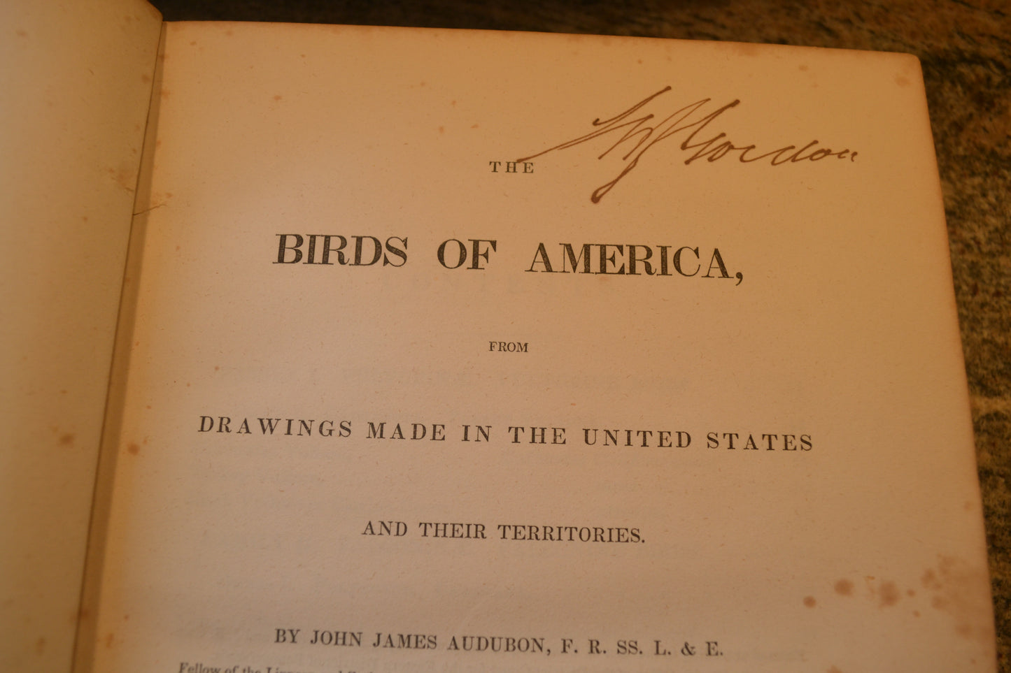 
                  
                    Seven Volume Audubon Octavo First Edition
                  
                