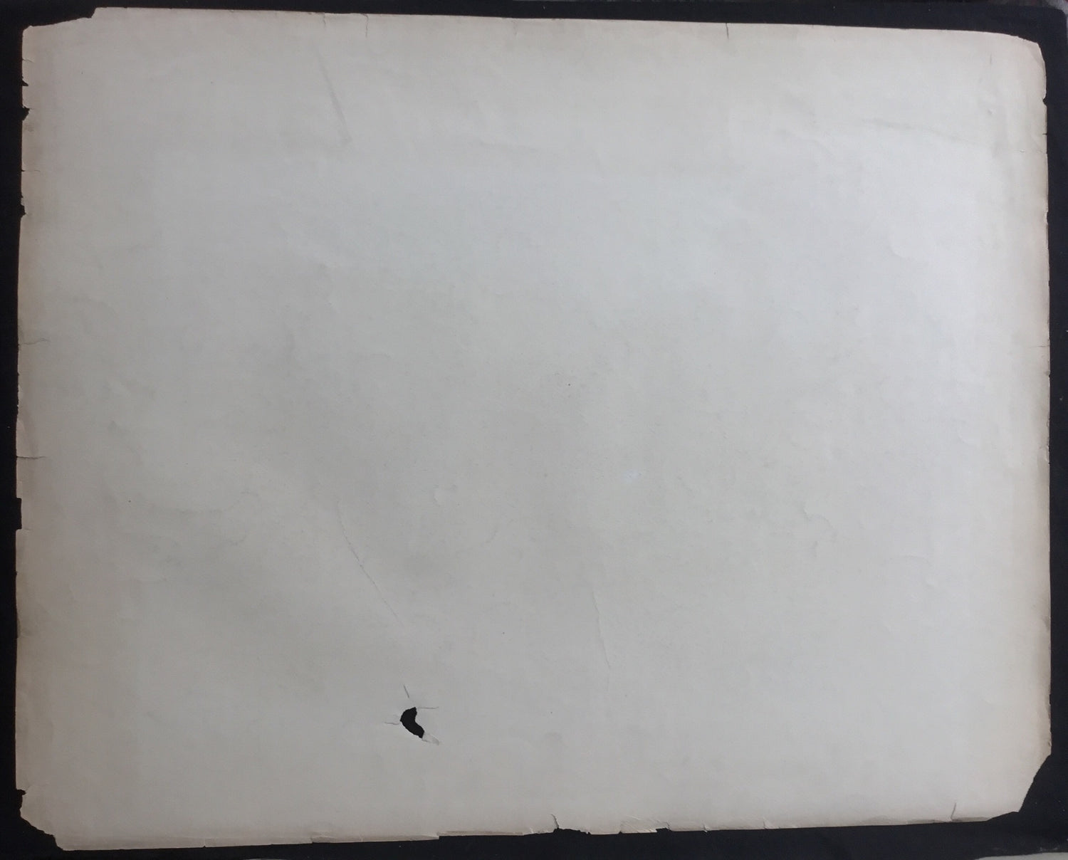 Lord-Hopkins Collection, Audubon Original Imperial plate 52, Swift Fox
