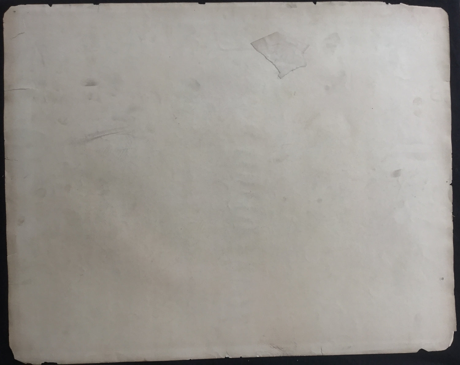 Lord-Hopkins Collection, Audubon Original Imperial plate 29, Rocky Mountain Neotoma