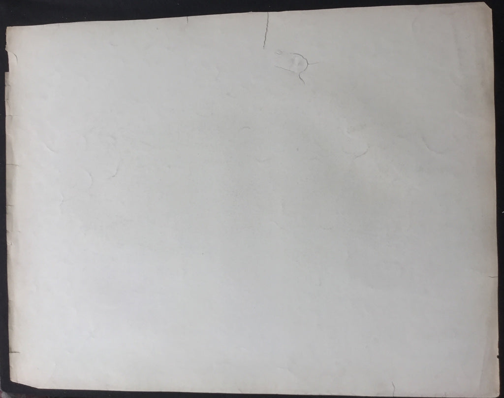 Lord-Hopkins Collection, Audubon Original Imperial plate 44, Canada Pouched Rat