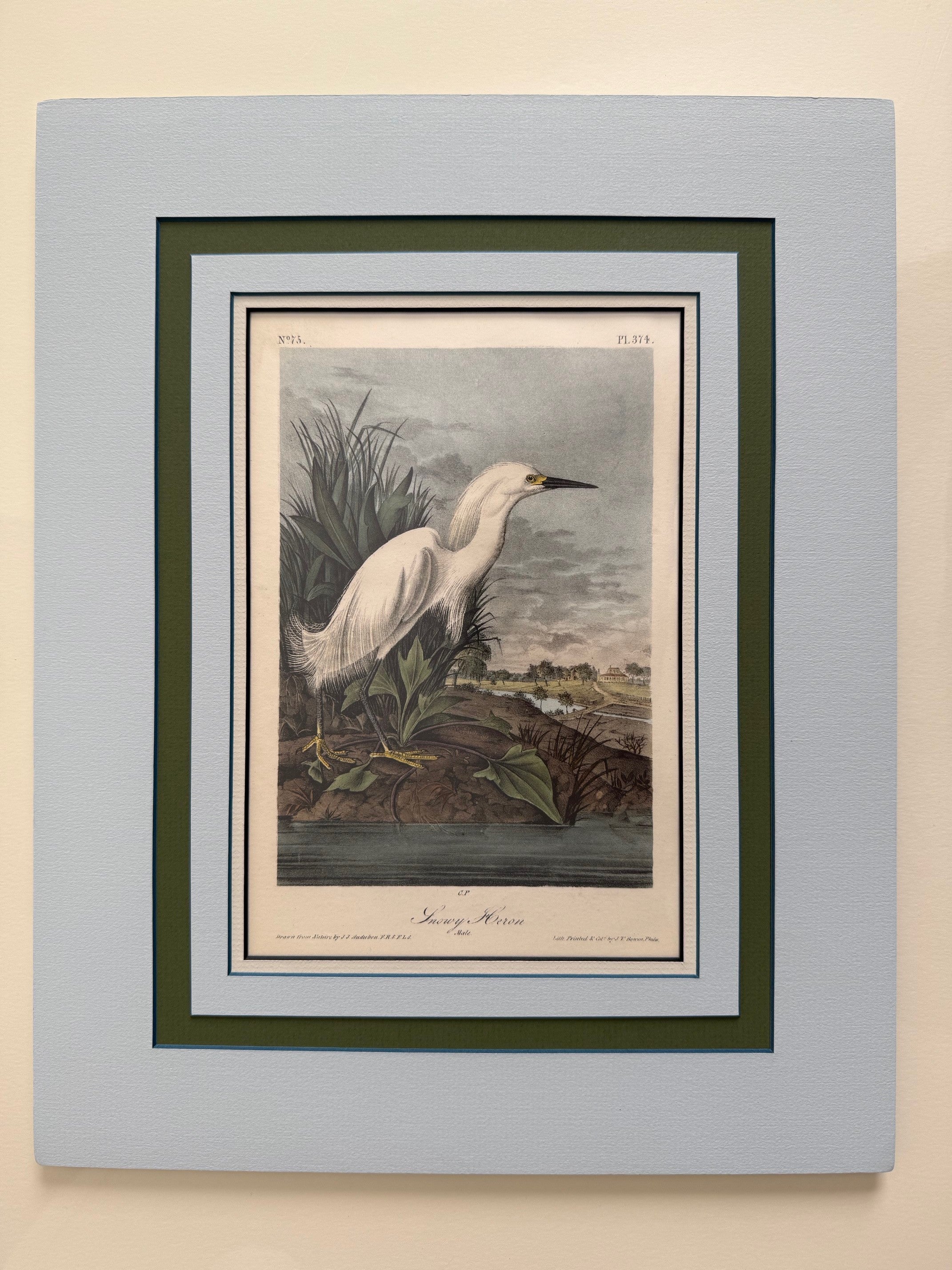 BIRD 創刊号1〜8号　8冊セット BIRD 創刊号1〜8号 8冊セット BIRD 創刊号1〜8号 8冊セット BIRD 創刊