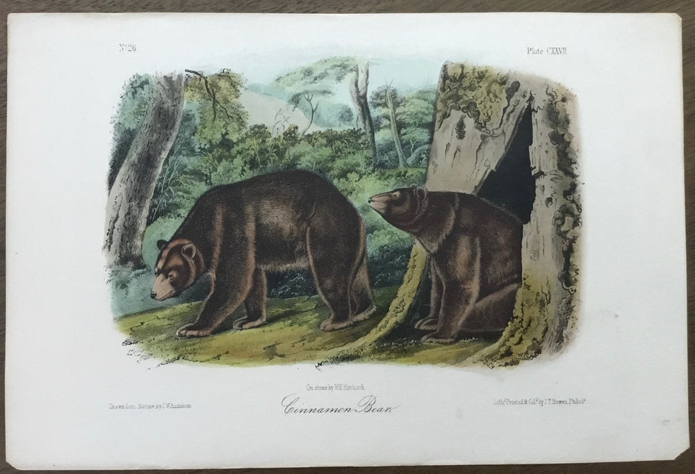 Lord-Hopkins Collection - Cinnamon Bear