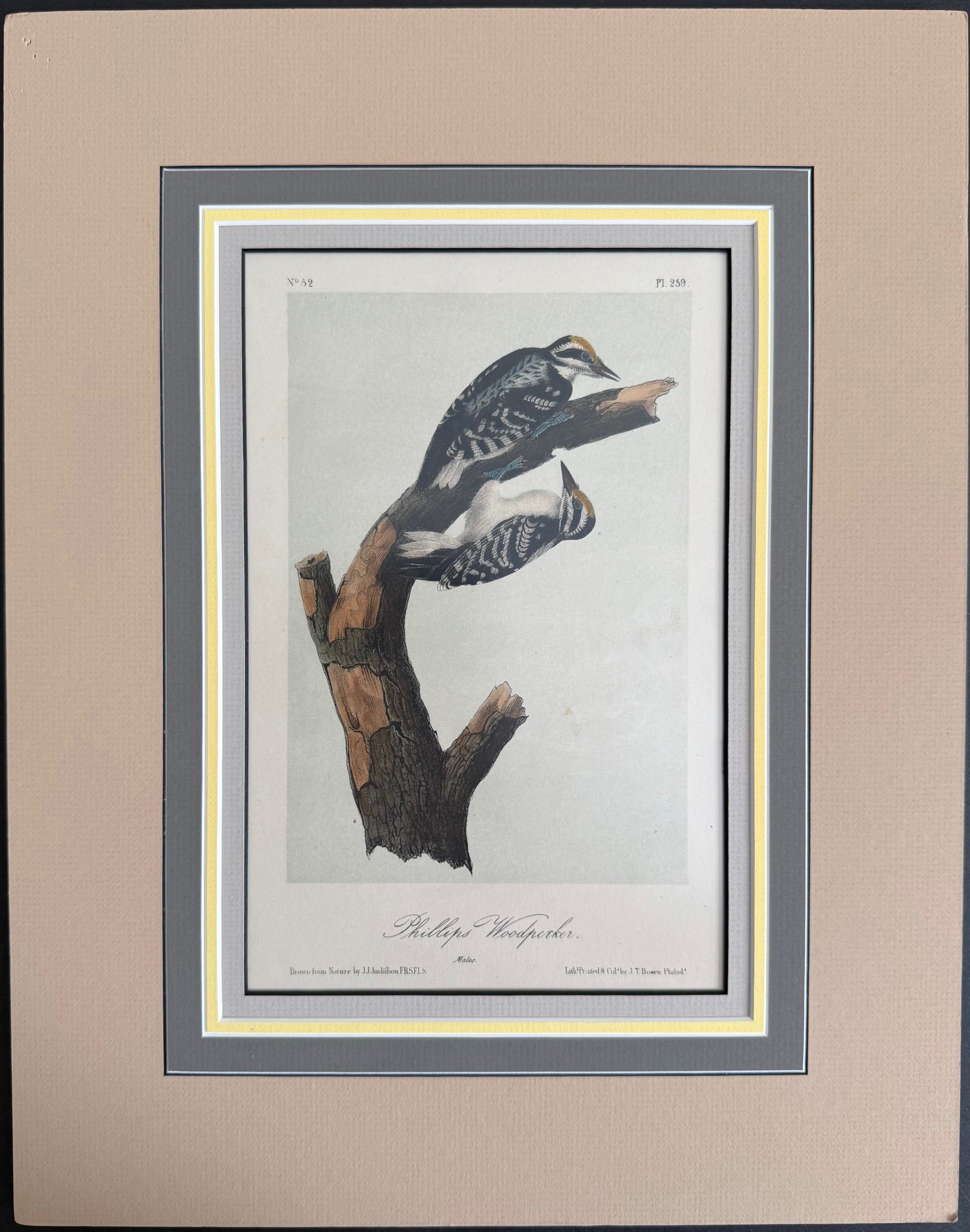 BIRD 創刊号1〜8号　8冊セット BIRD 創刊号1〜8号 8冊セット BIRD 創刊号1〜8