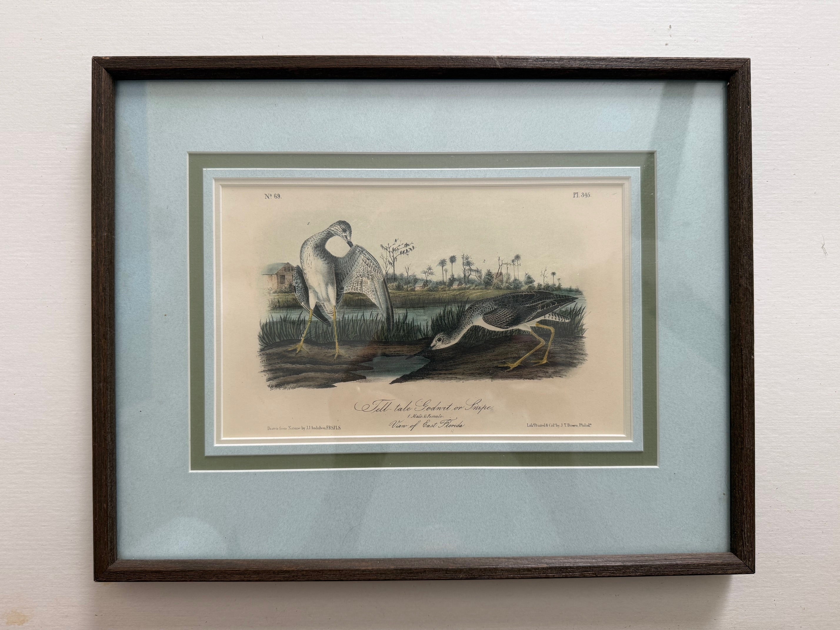Gallery 3 - Original Octavo Birds – Signature Documents LLC