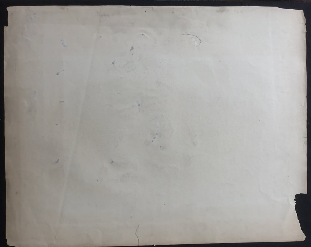 
                  
                    Lord-Hopkins Collection, Audubon Original Imperial plate 302, Polar Hare
                  
                