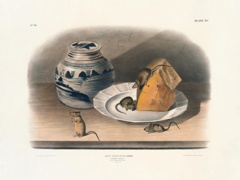 
                  
                    Princeton Imperial Collection
                  
                