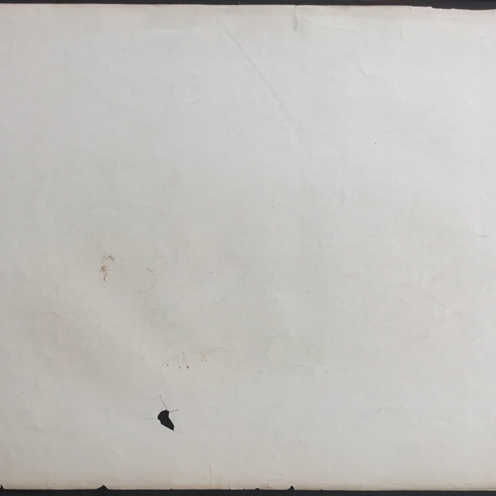
                  
                    Lord-Hopkins Collection, Audubon Original Imperial plate 119, Hudson Bay Lemming
                  
                