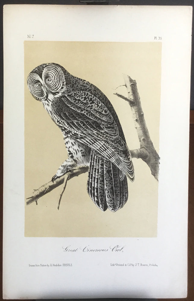 8 X 10 Sketch Book - White Paper — Bird in Hand