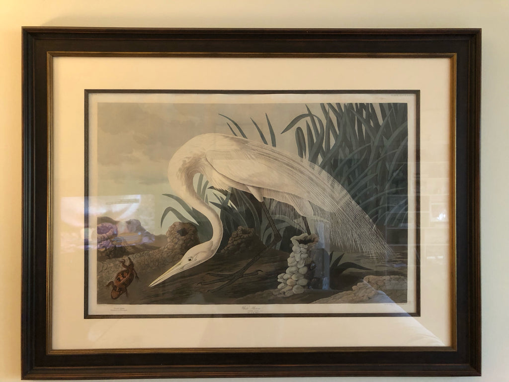 Original Audubon Havell White Heron